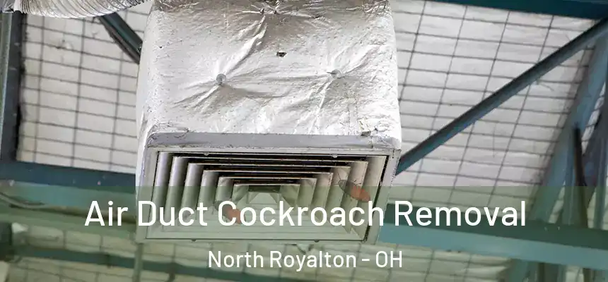 Air Duct Cockroach Removal North Royalton - OH