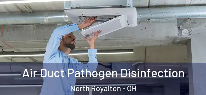 Air Duct Pathogen Disinfection North Royalton - OH