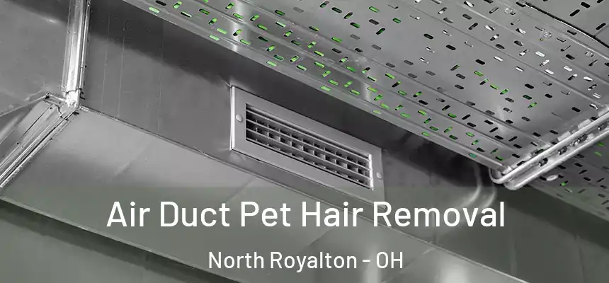 Air Duct Pet Hair Removal North Royalton - OH