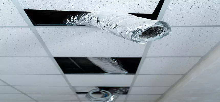 Affordable HVAC Sanitizing After Pest Removal in North Royalton