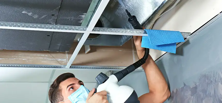 Our Air Duct Rodent Removal Services in North Royalton, OH