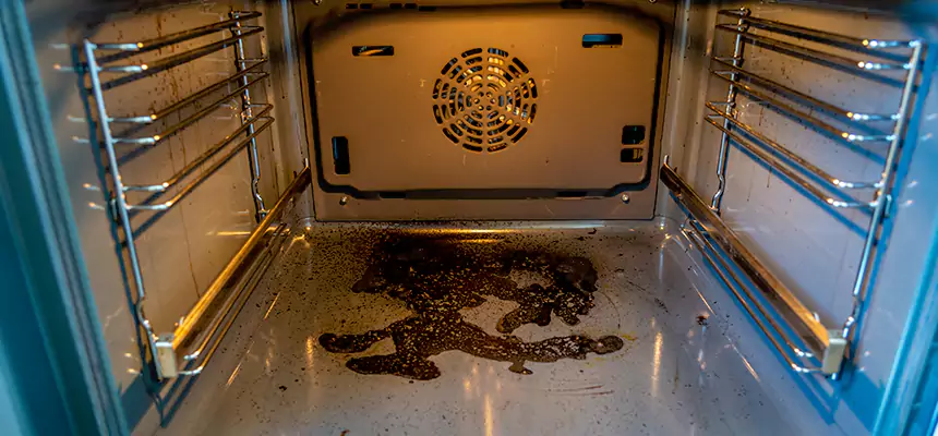 Our Dryer Vent Mold Cleaning Services in North Royalton, OH