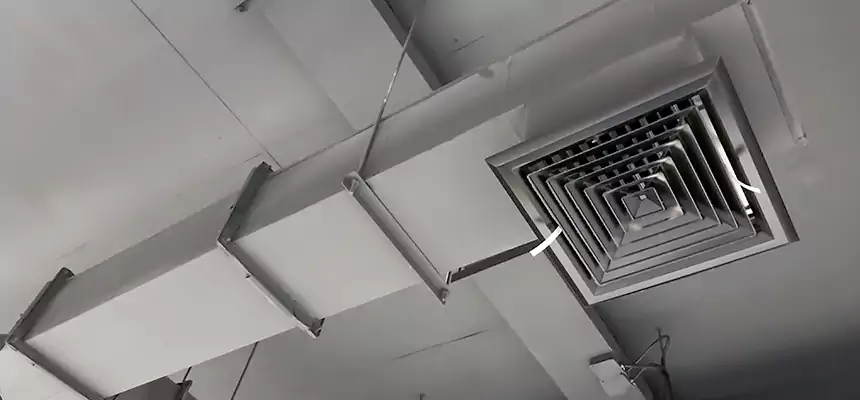 Our Rodent Droppings In Vents Services in North Royalton, OH