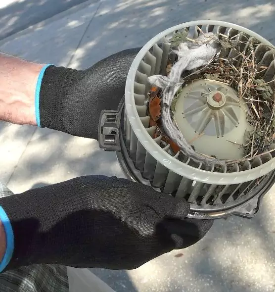 About Air Duct Rat Removal in North Royalton, OH