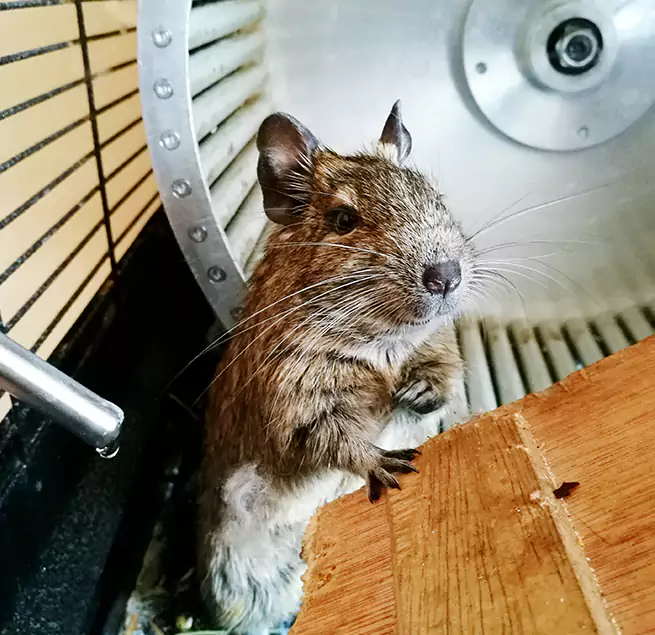 Why Homeowners & Businesses Trust Us North Royalton, OH